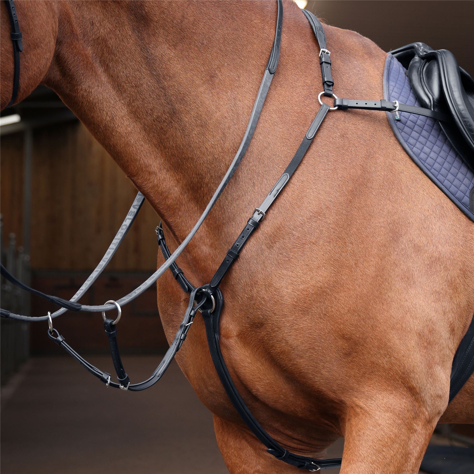Chestnut horse wearing a black leather elasticated breastplate under a saddle