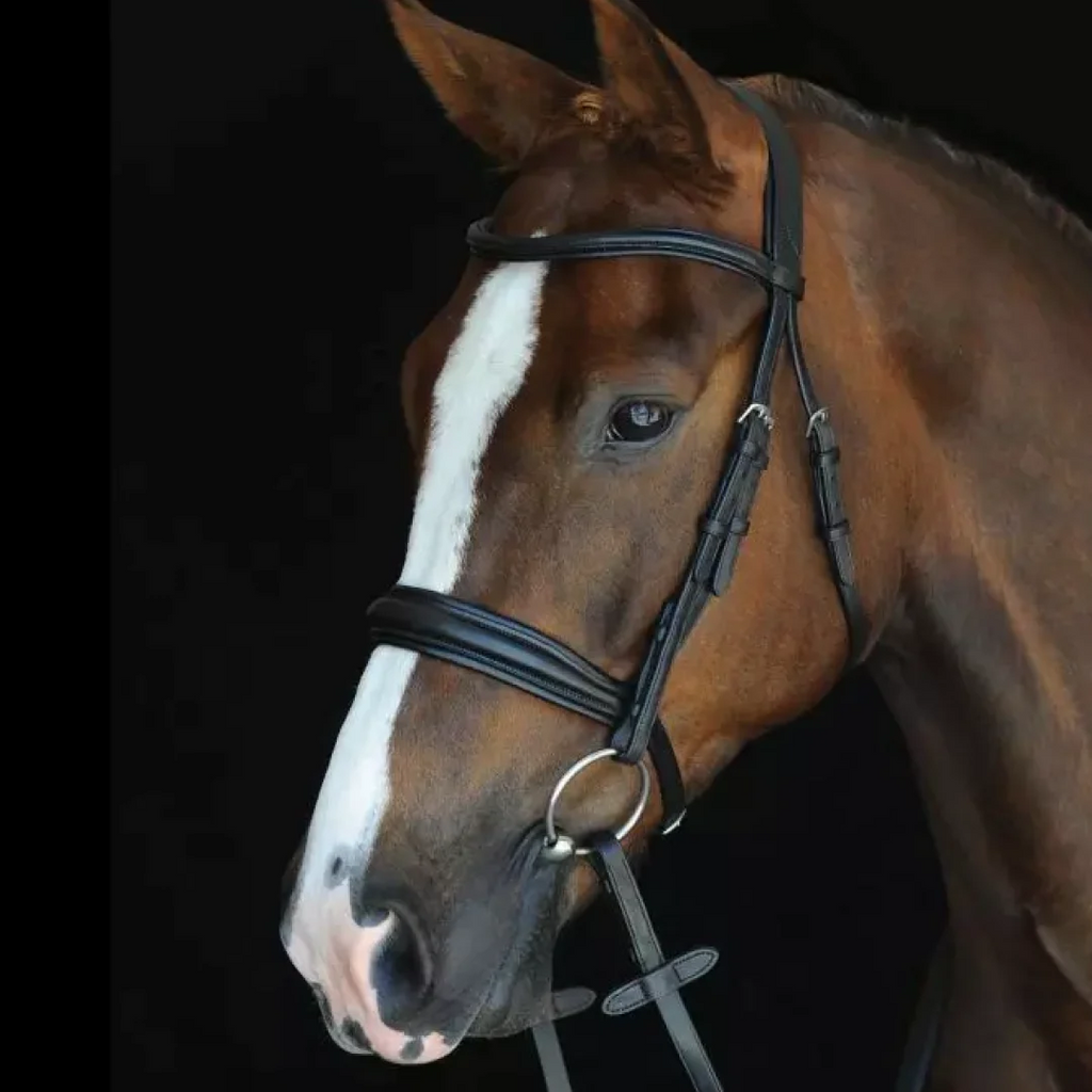 Unbridling Cavesson Bridles: Your Guide to Buy At Just Horse Riders