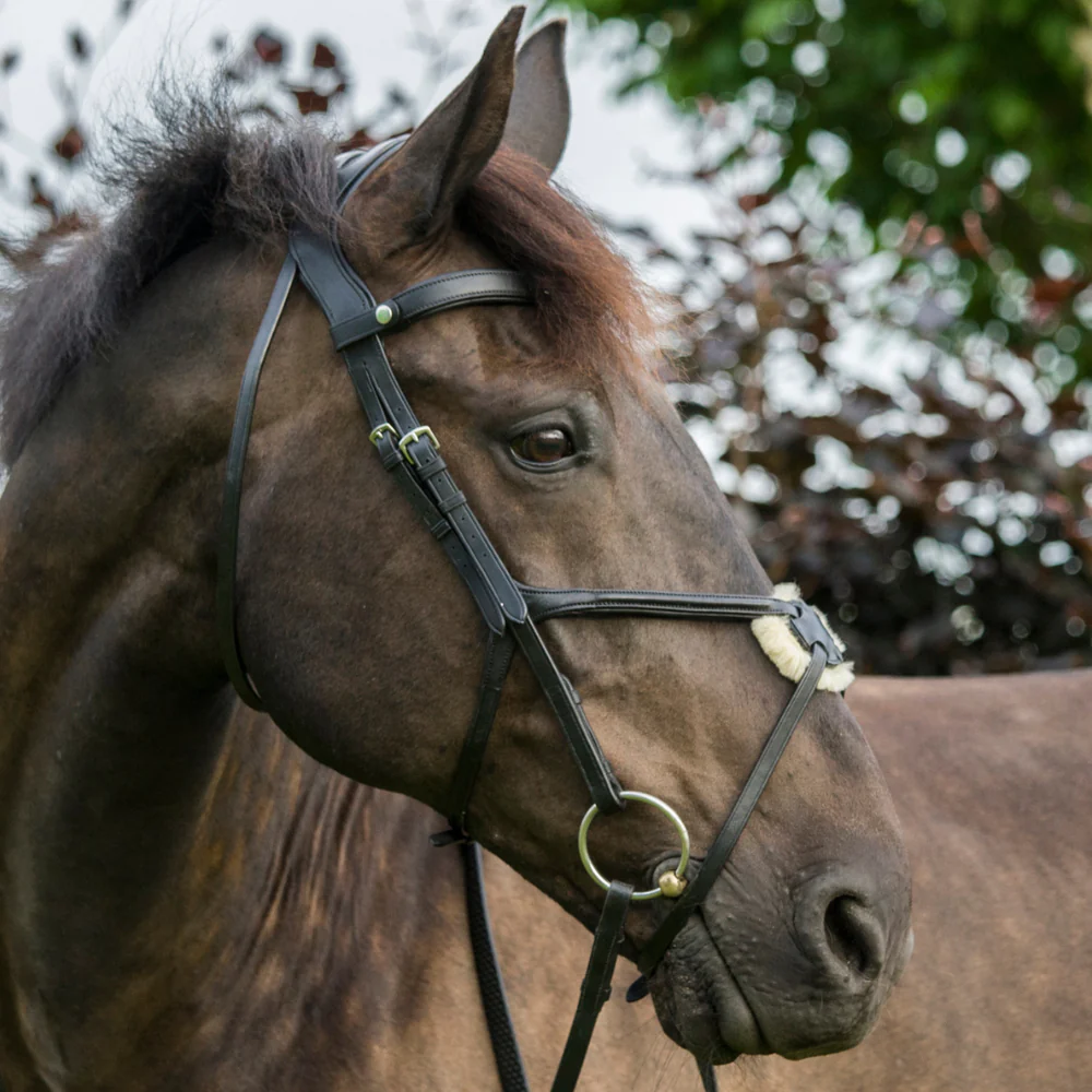 Grackle Bridles at Just Horse Riders - Upgrade Your Horse's Comfort