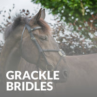 Grackle Bridles at Just Horse Riders - Upgrade Your Horse's Comfort