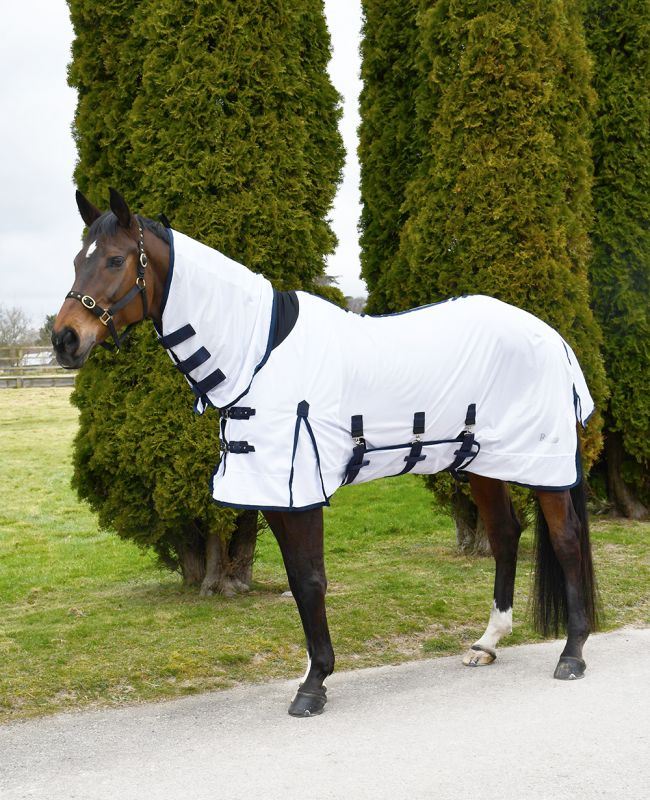 Bay horse in a field wearing a white and navy mesh fly rug with neck cover