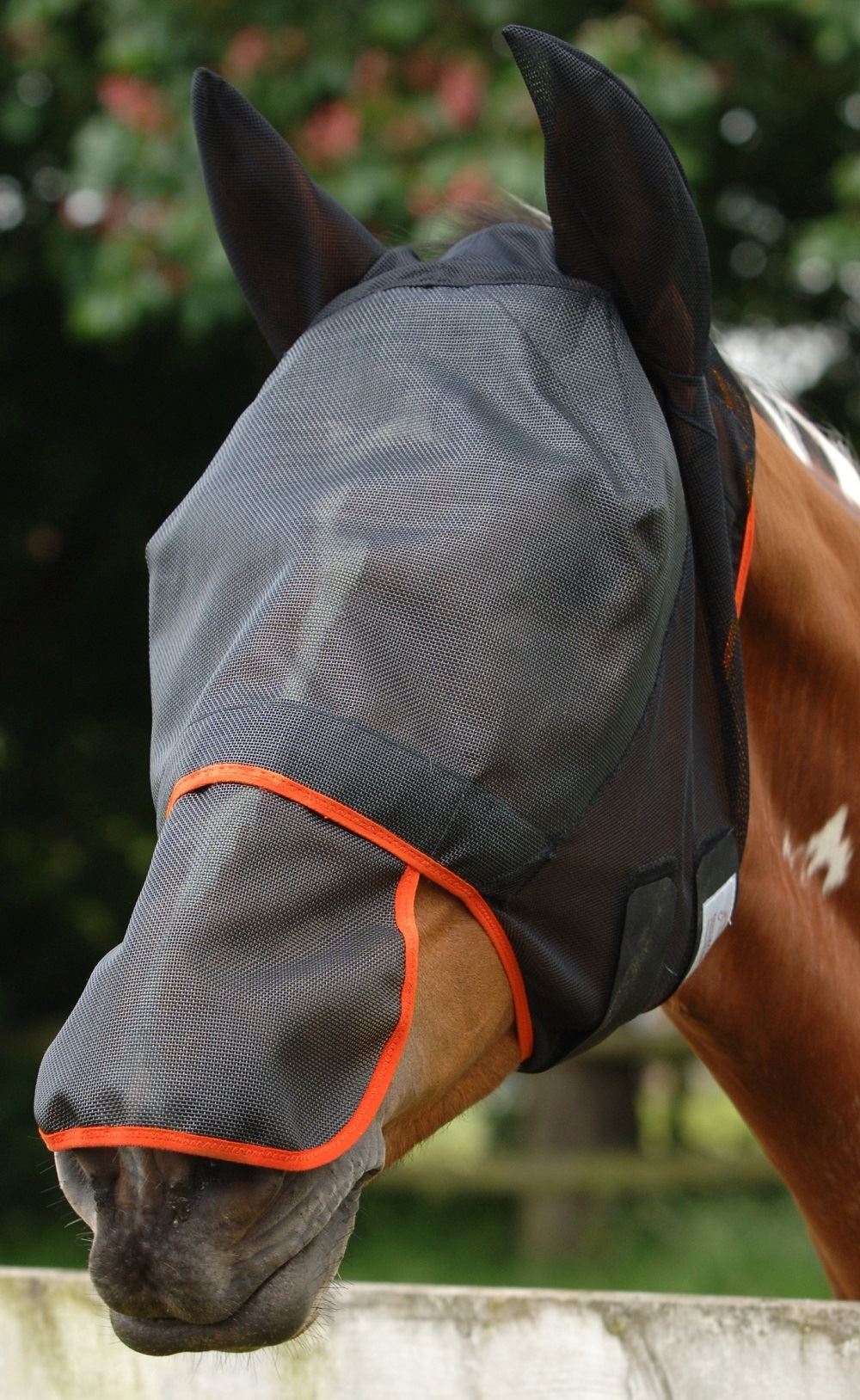 Horse wearing a grey mesh fly mask with orange trim and ear covers in a paddock