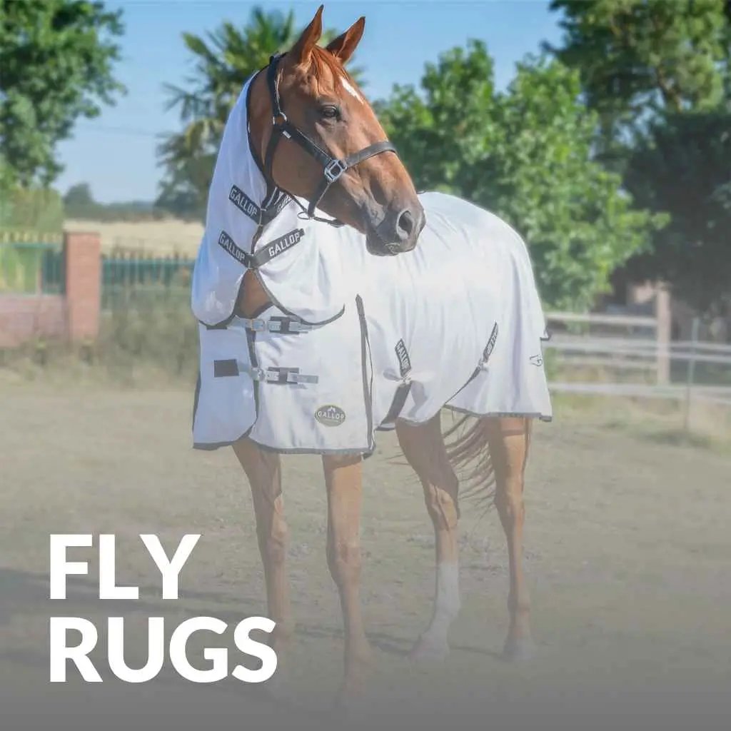 fly rugs - just horse riders