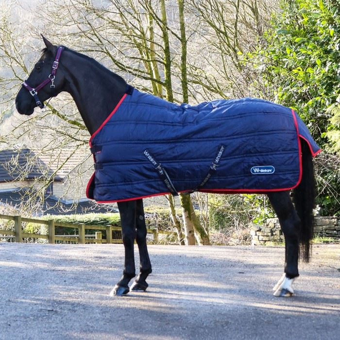 Black horse wearing a navy quilted stable rug with red trim standing on a yard