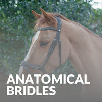 Anatomical Bridles at Just Horse Riders: Quality, Comfort, & Control