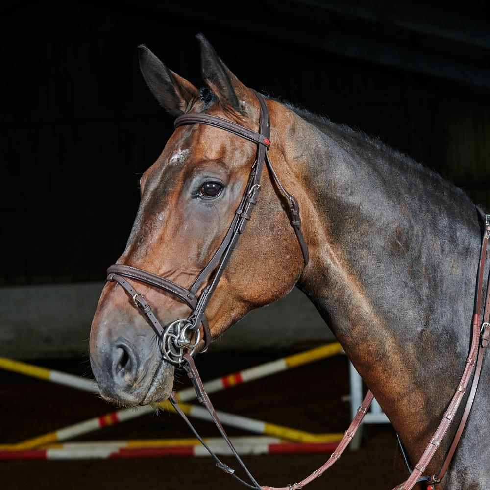 Boost Horse Comfort with Flash Bridles at Just Horse Riders - Shop Now