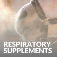 Breathe Easy with the best Horse Respiratory Supplements