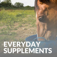 Everyday Horse Supplements: Boosting Your Horse's Well-Being