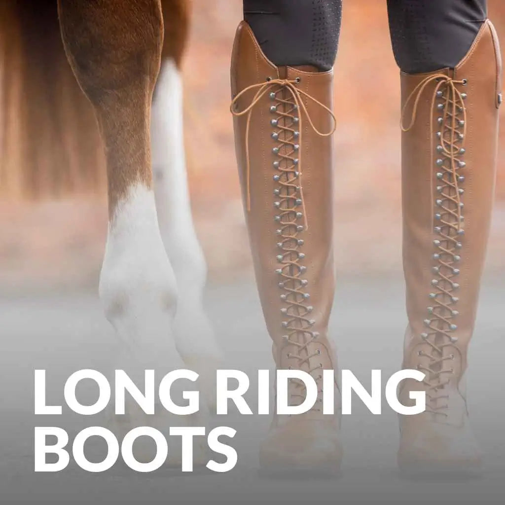 Explore Premier Equine Long Boots – Unmatched Quality & Comfort!