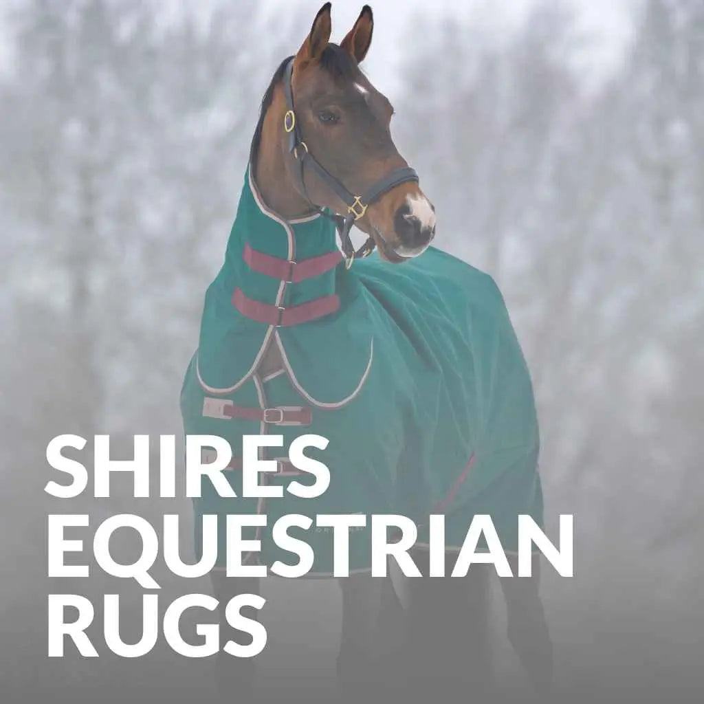 Shires Horse Rugs for All Seasons - Shop Now for Comfort