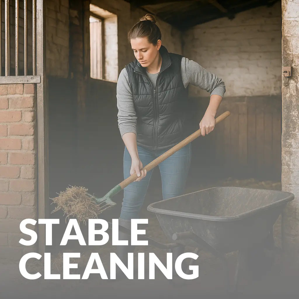 Stable Cleaning & Hygiene