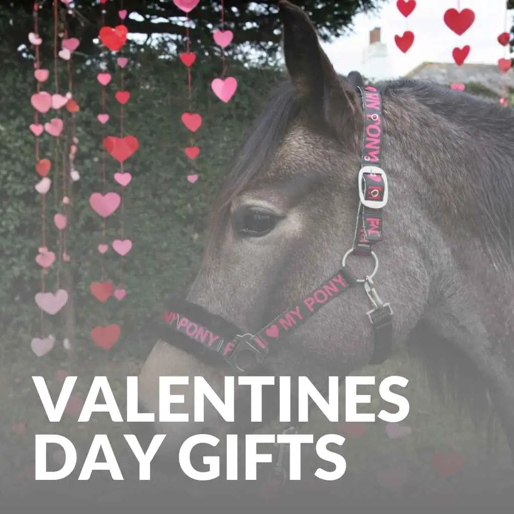 Valentines Day Gifts For Horses – Shop Thoughtful Stable Treats Now