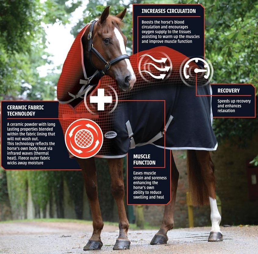 Weatherbeeta Therapy-Tec Combo Neck - Just Horse Riders
