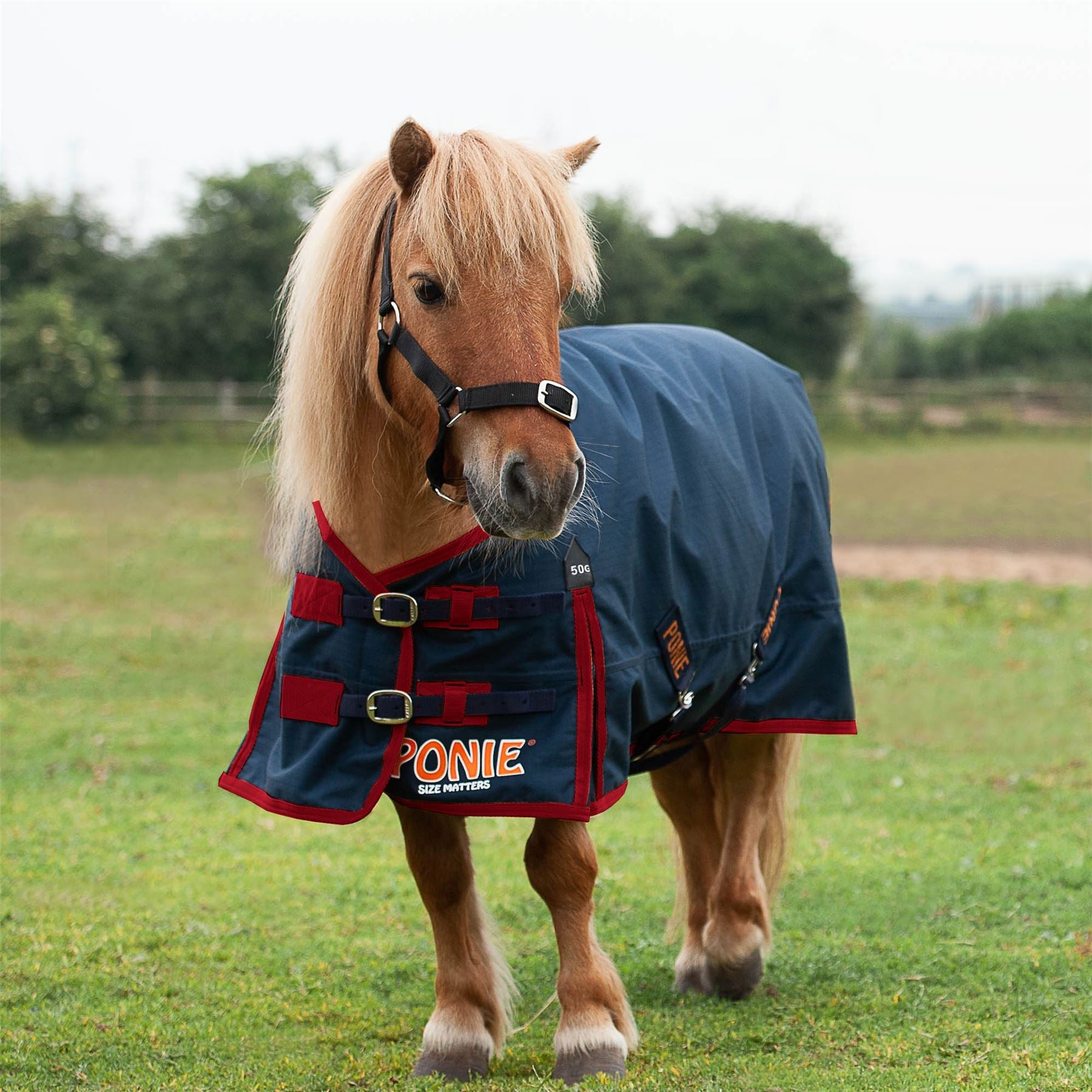 Gallop Equestrian Ponie 50 Turnout Rug - Just Horse Riders