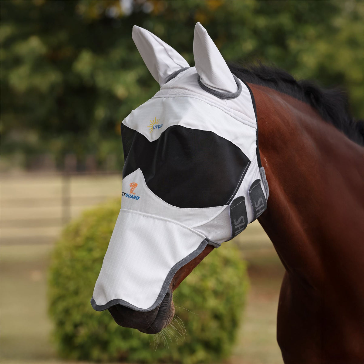 FlyGuard Pro Sun Shade Fly Mask Ears & | Next Day Delivery – Just Horse ...