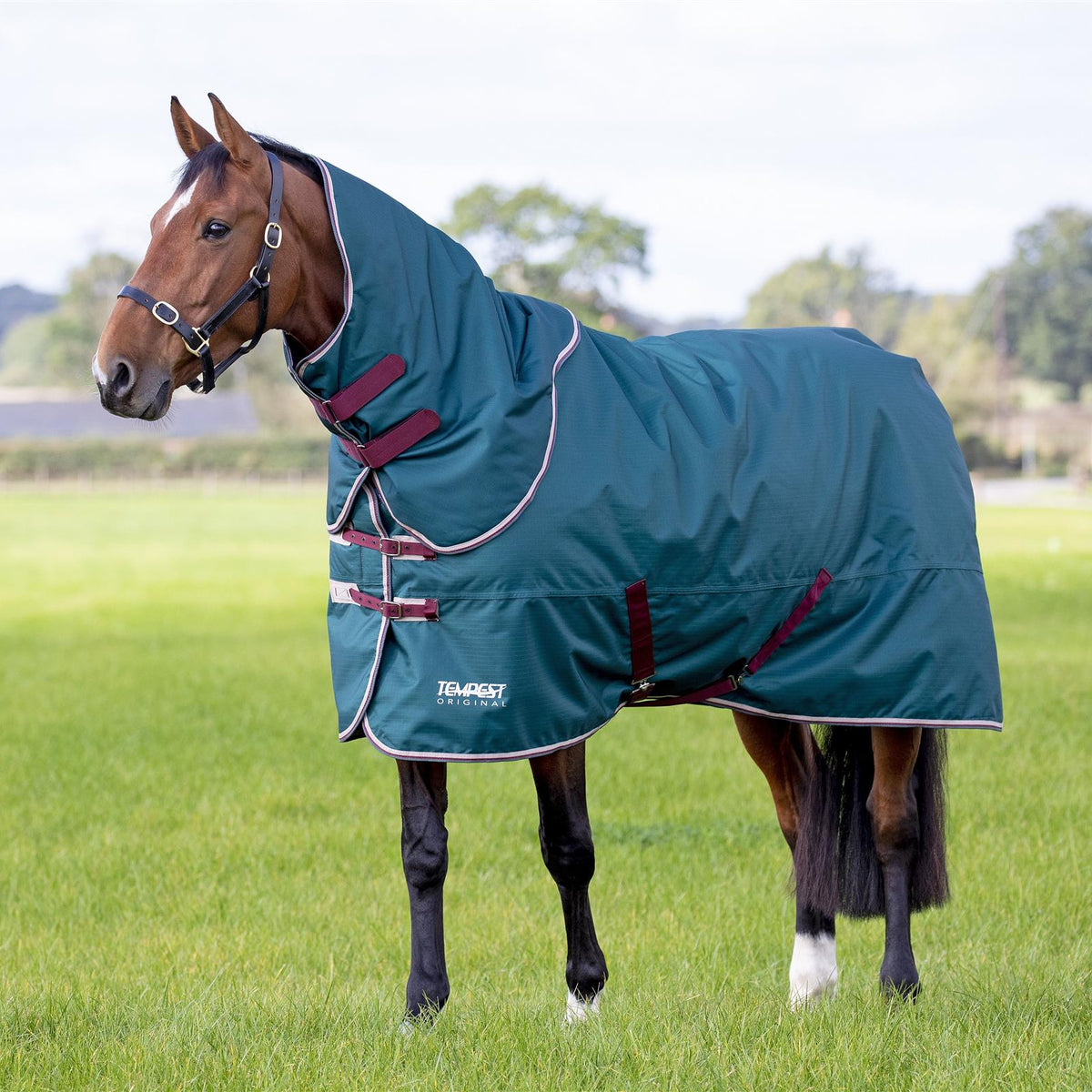 Tempest Original 200 Turnout Rug & Neck | Next Day Delivery – Just ...