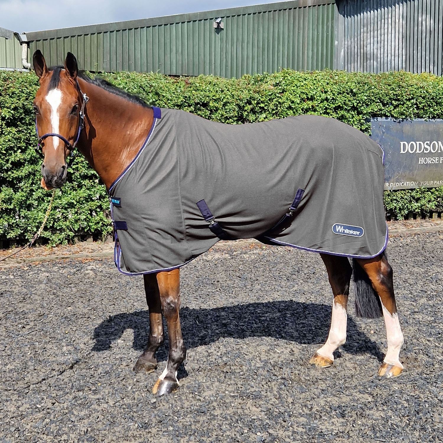 Whitaker Clough Knitted Cooler Rug - Just Horse Riders