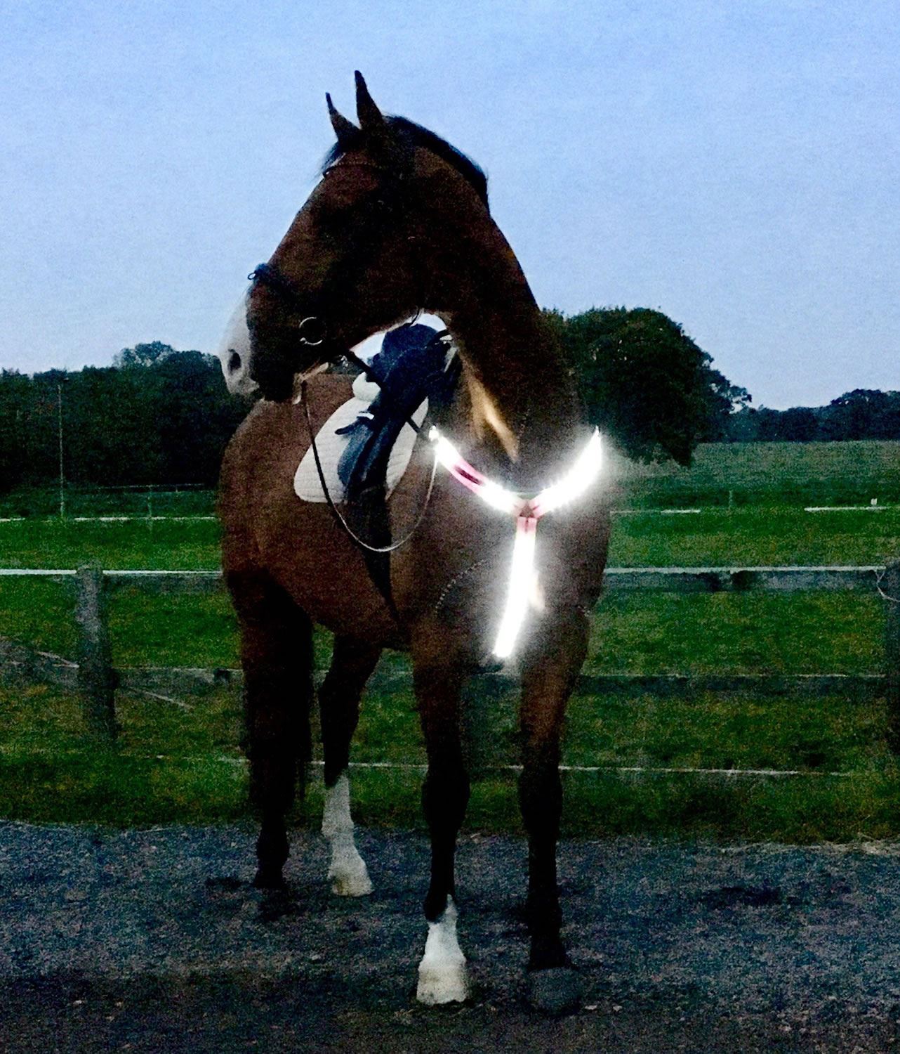 Equisafety Led Rechargeable Breastplate - Just Horse Riders
