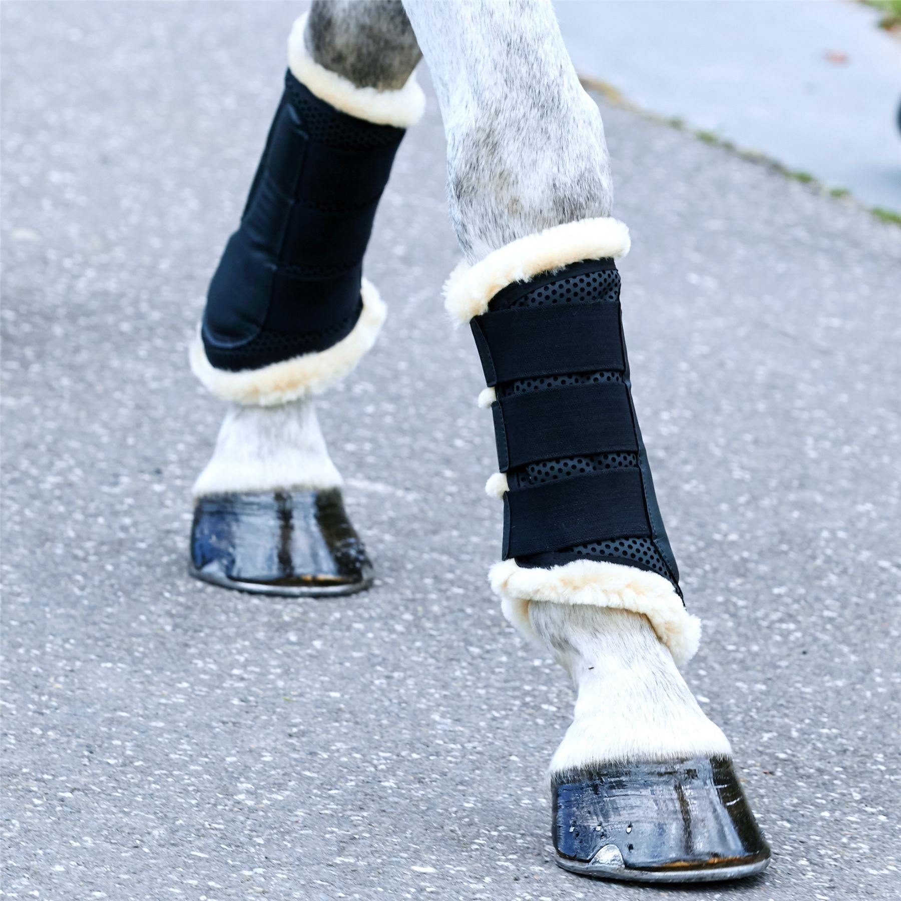 Weatherbeeta Pure Wool Lined Exercise Boots - Just Horse Riders