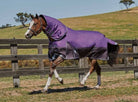 Weatherbeeta Comfitec Plus Dynamic Detach-A-Neck Medium - Just Horse Riders