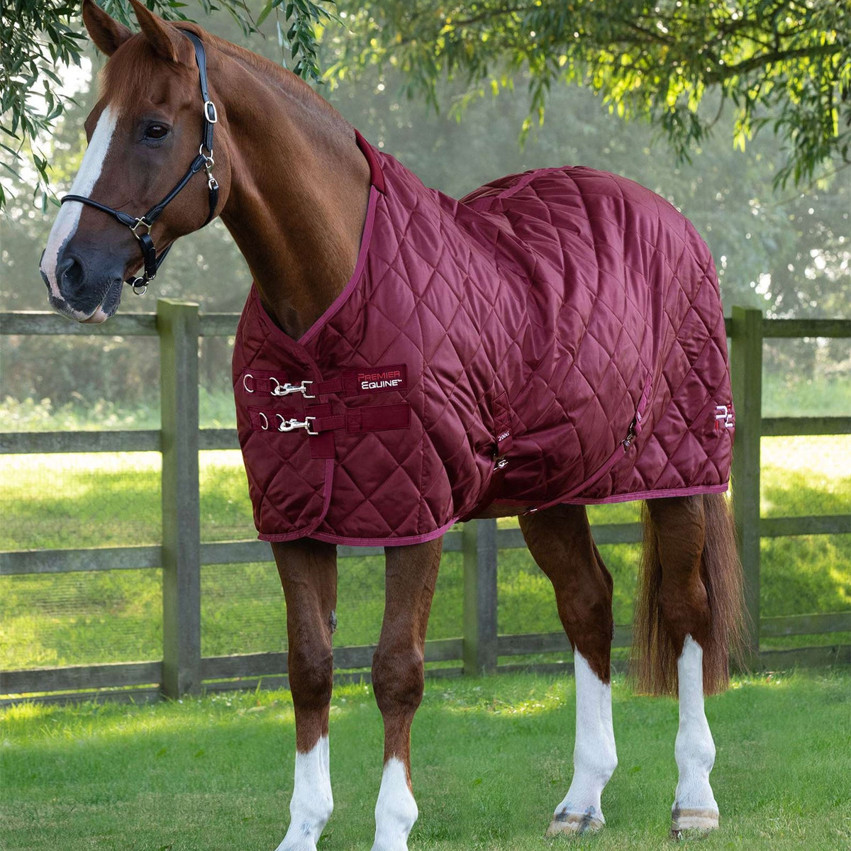 Premier Equine Tuscan Stable Rug 200g | Fast UK dispatch – Just Horse ...