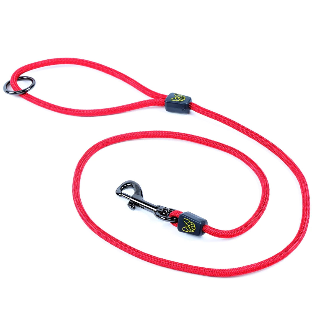 Digby & Fox Pro Dog Lead - Just Horse Riders