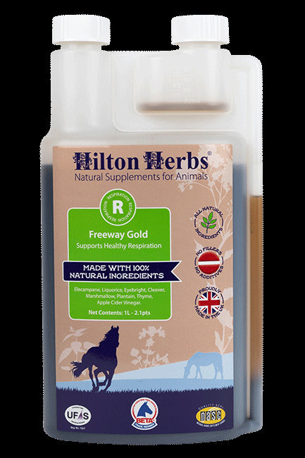 Hilton Herbs Freeway Gold - Just Horse Riders