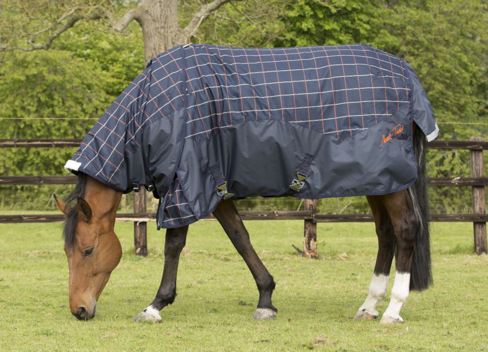 Mark Todd Mediumweight Turnout Rug | Next Day Delivery – Just Horse Riders