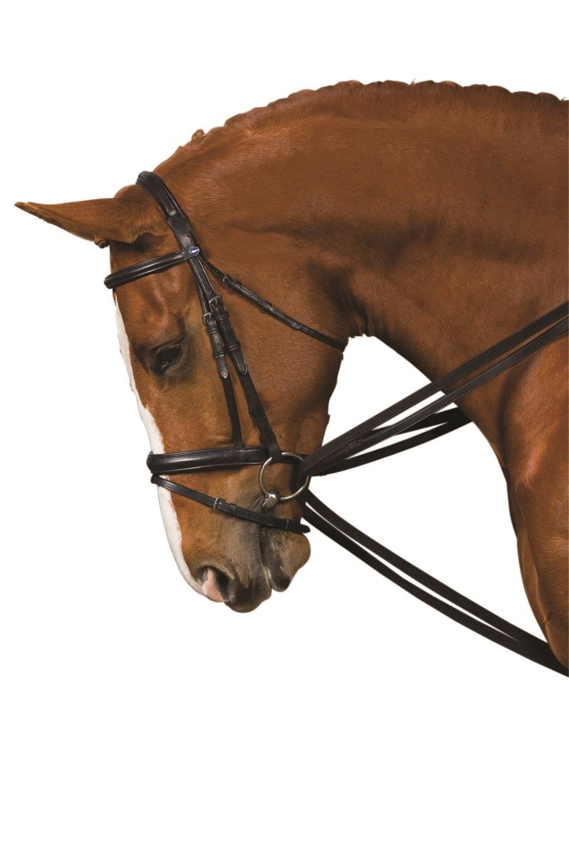 Kincade Web Draw Reins Set - Just Horse Riders