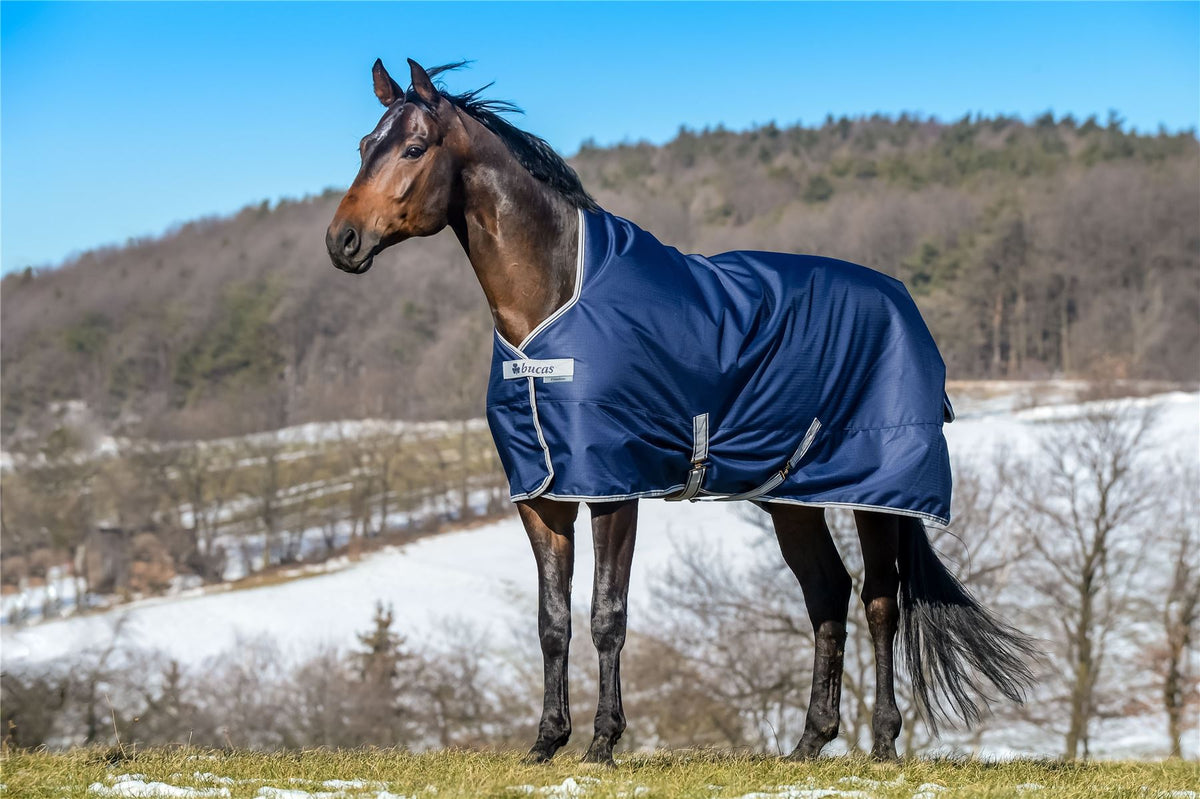 Bucas Freedom 150 High Neck Turnout Rug | Fast UK dispatch – Just Horse ...