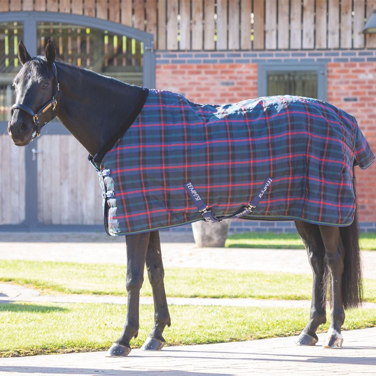 Shires Tempest Plus 100 Stable Rug | Next Day Delivery – Just Horse Riders