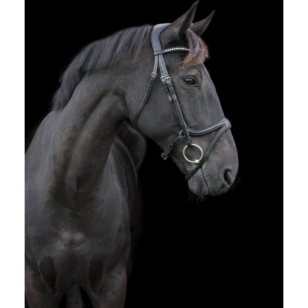 Eco Rider Ecosoft Acclaim Bridle -Soft EcoLeather, Padded Browband Crystal Inlay - Just Horse Riders