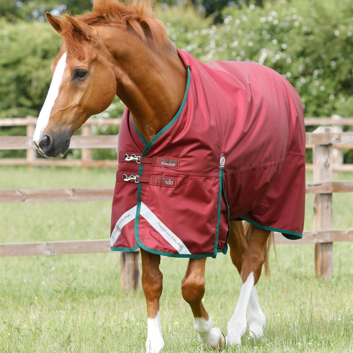 Heavyweight Rugs Premier Titan 100g Original Turnout Rug | Fast UK dispatch – Just Horse ...