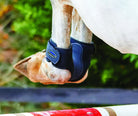 Weatherbeeta Dynamic Fetlock Boots - Just Horse Riders