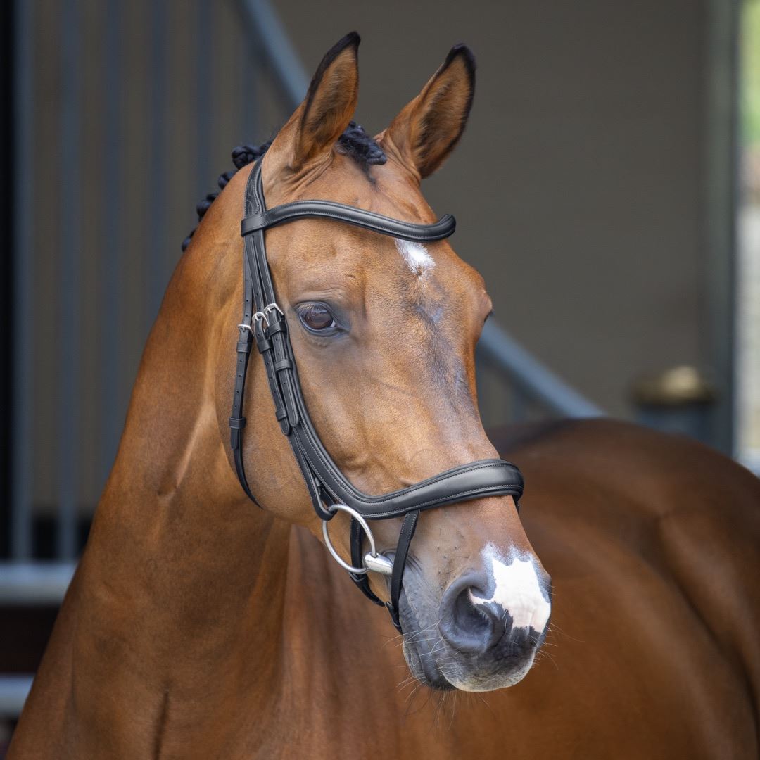 Lusso Ergonomic Curved Flash Bridle - Just Horse Riders