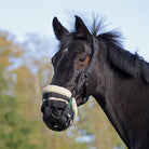Shires FreeGraze AirFlow Grazing Muzzle - Just Horse Riders