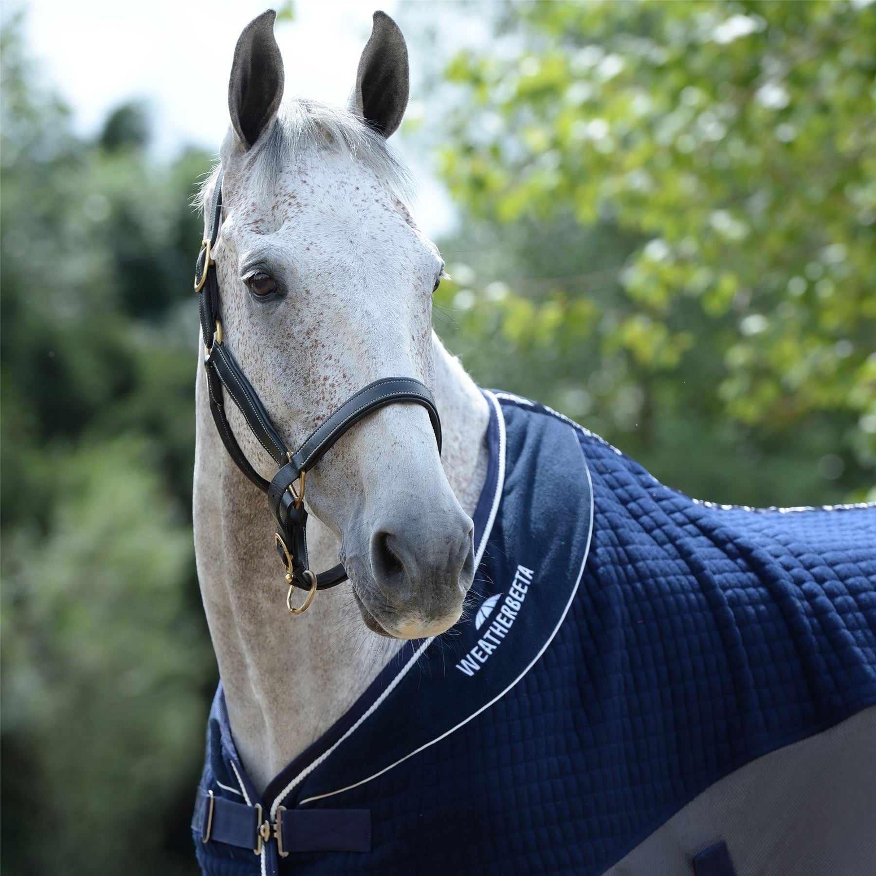Weatherbeeta Thermo-Air Cooler Standard Neck - Just Horse Riders