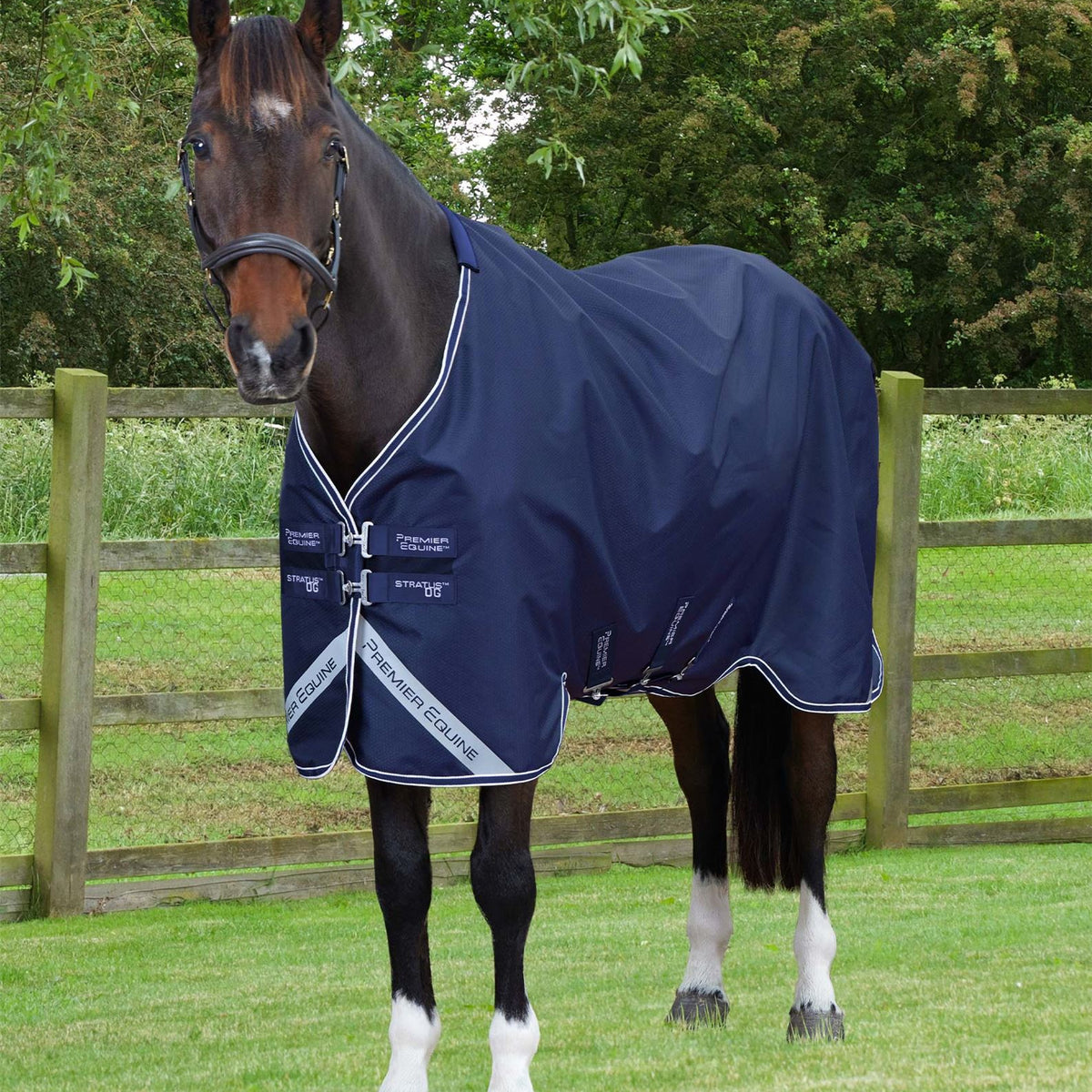 Premier Stratus 600D 0g Turnout Rug | Fast UK dispatch – Just Horse Riders