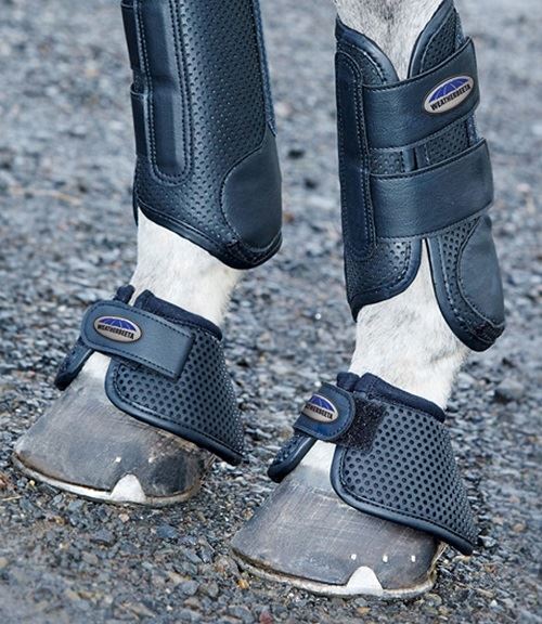 Weatherbeeta Bell Boots - Just Horse Riders
