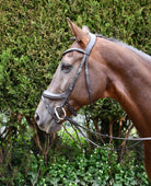 Rhinegold Pro-Anatomic Flash Bridle - Just Horse Riders