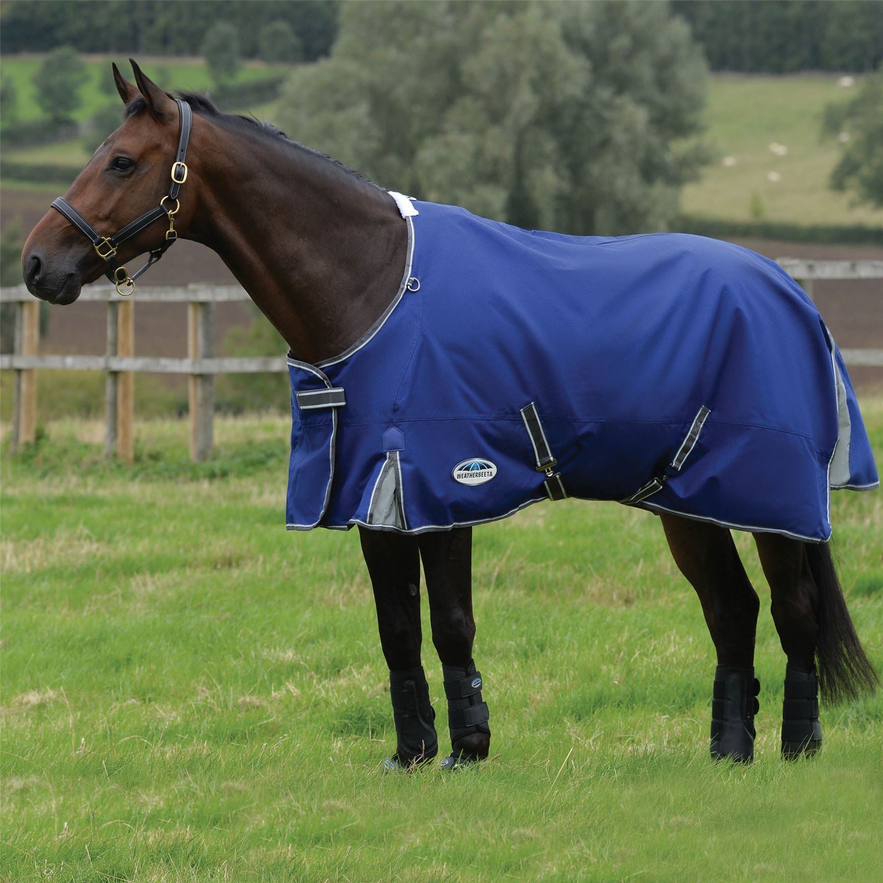 Weatherbeeta Comfitec Premier Free Ii Standard Neck Lite - Just Horse Riders