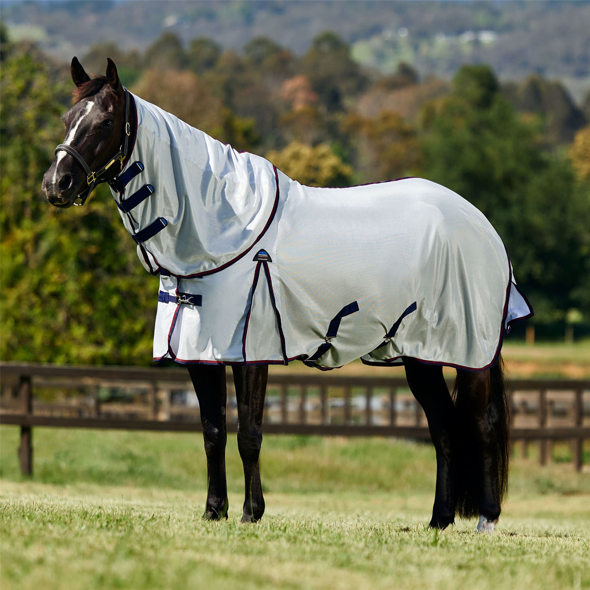 Fly Rug Weatherbeeta Airflow Detach-A-Neck Fly Rug | WeatherBeeta Mesh – Just Horse Riders