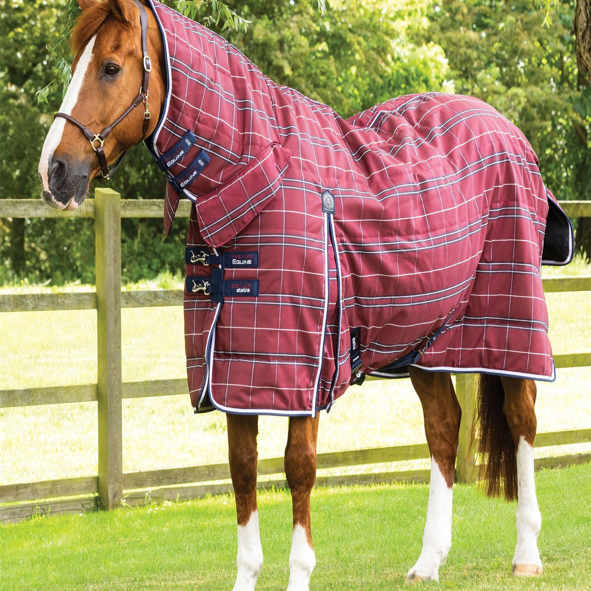 Premier Domus 400g Combo Stable Rug Check | Fast UK dispatch – Just ...