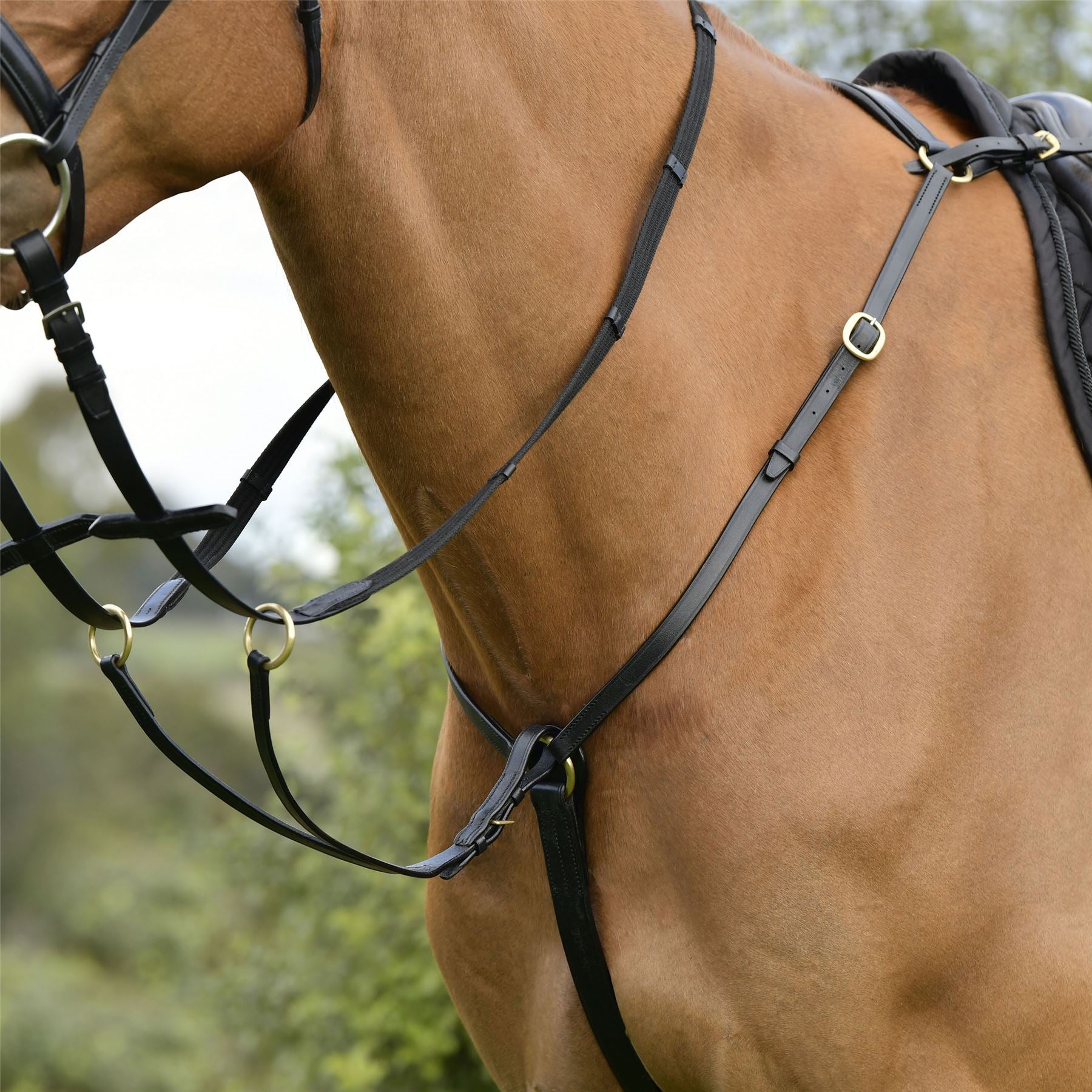 Kavalkade Diandro 3-Point Breastplate U2013 Black U2013 Cob U2013 Jonty Equestrian