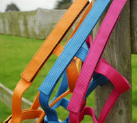 Rhinegold Field Safe Headcollar