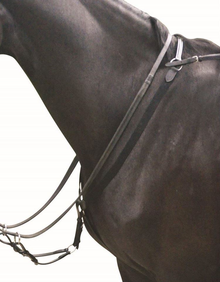 Kincade Elastic Eventing Breastplate And Martingale - Just Horse Riders