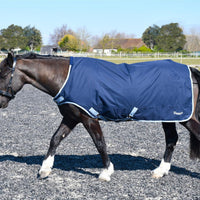 Lunging & Groundwork Equipment