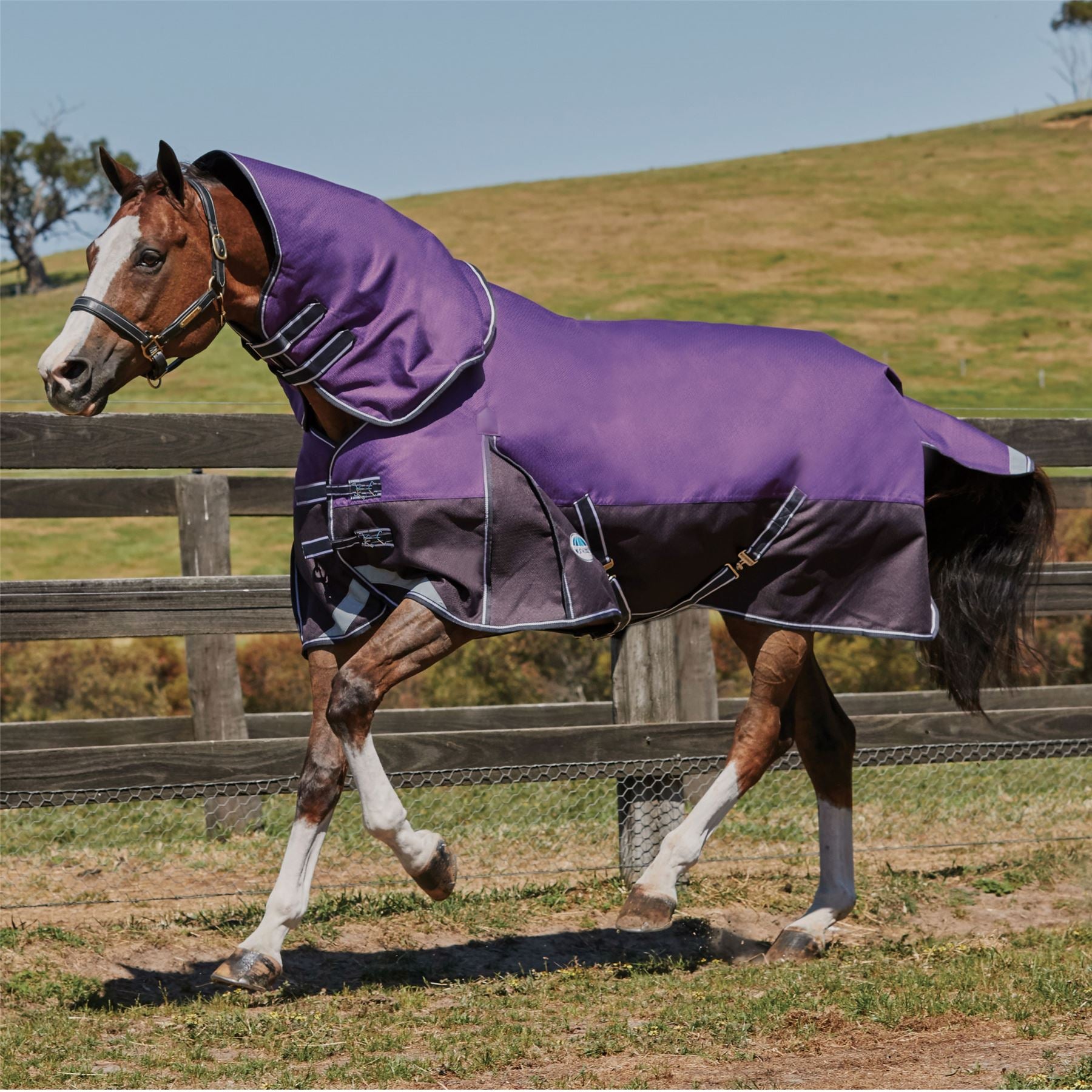 Weatherbeeta Comfitec Plus Dynamic Detach-A-Neck Medium/Lite - Just Horse Riders