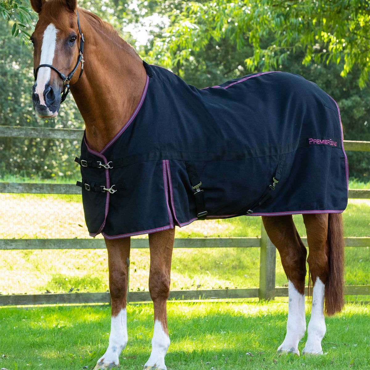 Premier Equine Barrasso Stable Sheet | Next Day Delivery – Just Horse ...