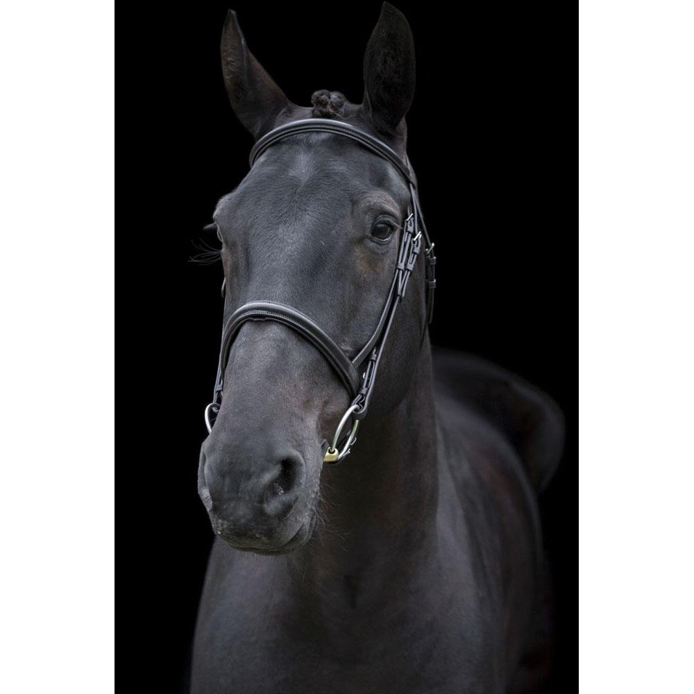 Handcrafted EcoLeather Classic Comfort Bridle Padded Headpiece & Removable Flash - Just Horse Riders